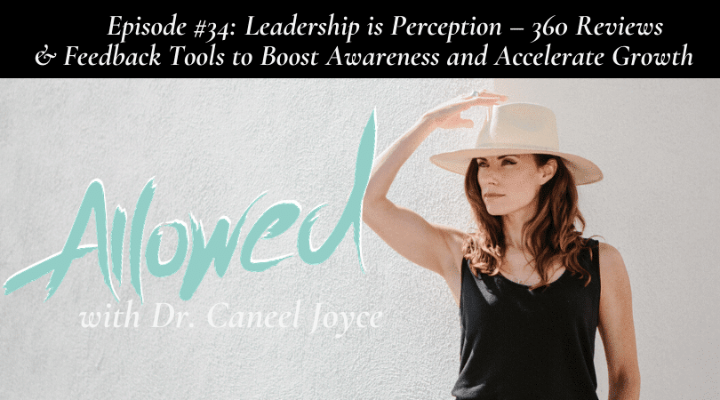 Leadership is Perception – 360 Reviews and other Feedback Tools to Boost Awareness and Accelerate Growth